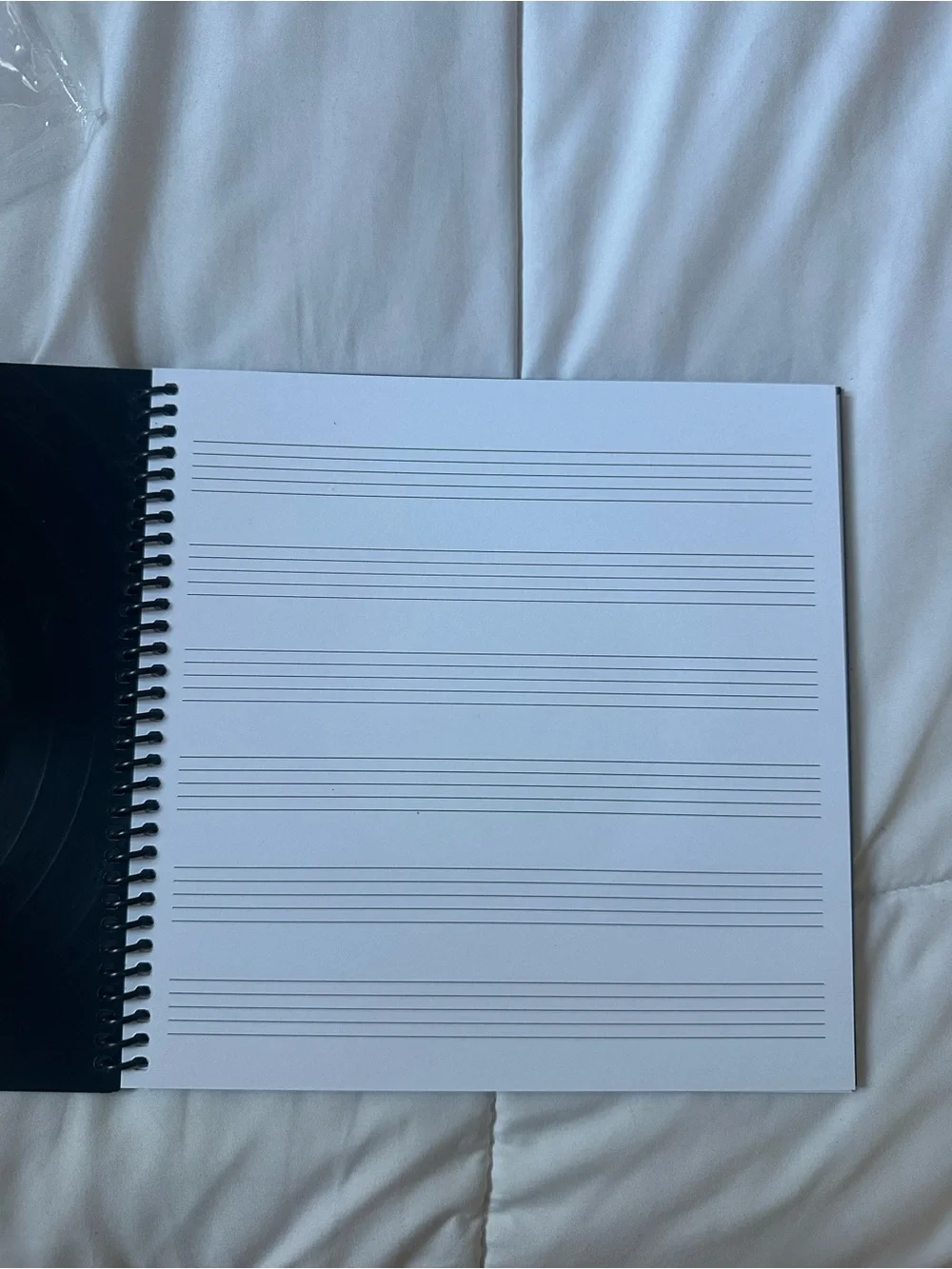 Summer of soul notebook